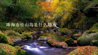 珠海市桂山岛是什么地方