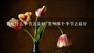 贵州什么季节去最好 贵州哪个季节去最好