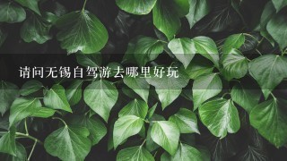 请问无锡自驾游去哪里好玩