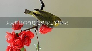 去大理住洱海还是双廊过冬好吗?