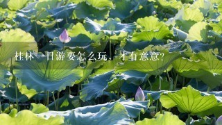 桂林一日游要怎么玩，才有意意？