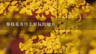 攀枝花有什么好玩的地方