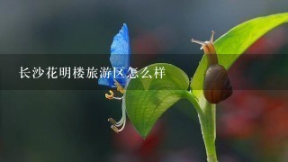 长沙花明楼旅游区怎么样