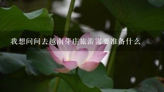 我想问问去越南芽庄旅游需要准备什么