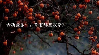 去新疆旅行，都有哪些攻略？