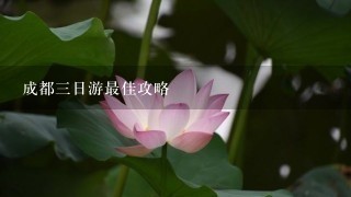 成都三日游最佳攻略