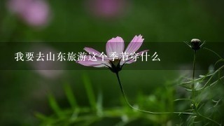 我要去山东旅游这个季节穿什么