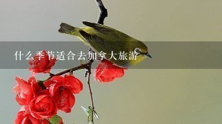 什么季节适合去加拿大旅游