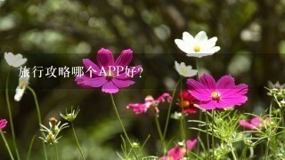 旅行攻略哪个APP好？