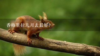 香格里拉几月去最好?