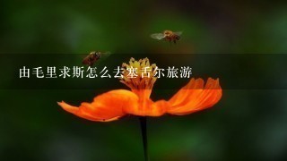 由毛里求斯怎么去塞舌尔旅游