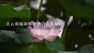 去云南旅游哪个季节去最好？