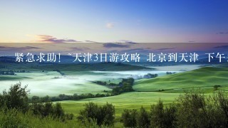 紧急求助！~天津3日游攻略 北京到天津 下午去 打算在摩天轮附近住下 周边或者附近游玩的地