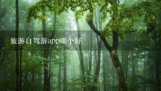 旅游自驾游app哪个好