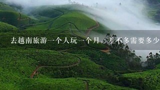 去越南旅游一个人玩一个月，差不多需要多少钱？