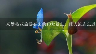 来攀枝花旅游必去的10大景点，让人流连忘返，舍不得