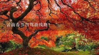 云南春节自驾游线路？