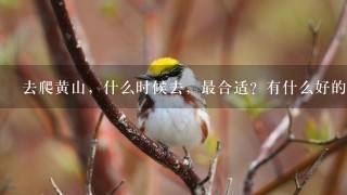 去爬黄山，什么时候去，最合适？有什么好的黄山旅游攻略？门票是多少？大约要带多少钱比较好?