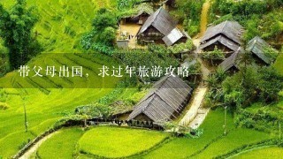 带父母出国，求过年旅游攻略