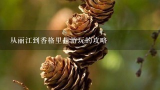 从丽江到香格里拉游玩的攻略