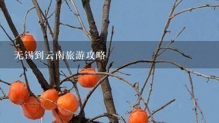 无锡到云南旅游攻略