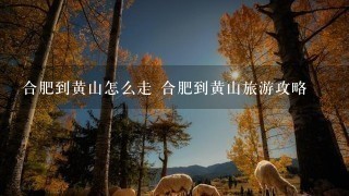 合肥到黄山怎么走 合肥到黄山旅游攻略