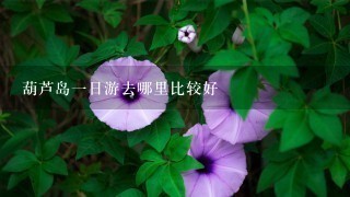 葫芦岛一日游去哪里比较好