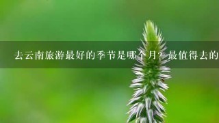 去云南旅游最好的季节是哪个月？最值得去的地方在哪里？