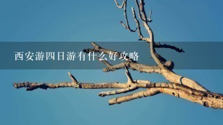 西安游四日游有什么好攻略