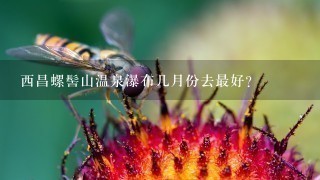 西昌螺髻山温泉瀑布几月份去最好？