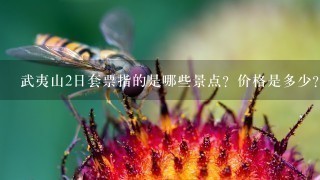 武夷山2日套票指的是哪些景点？价格是多少？