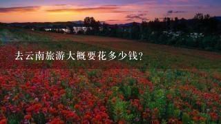 去云南旅游大概要花多少钱？