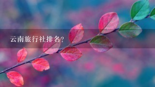 云南旅行社排名？