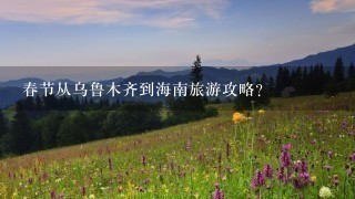 春节从乌鲁木齐到海南旅游攻略？