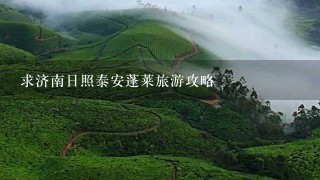 求济南日照泰安蓬莱旅游攻略