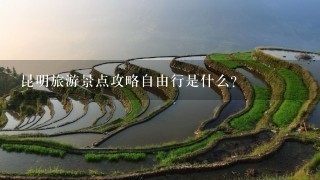 昆明旅游景点攻略自由行是什么？