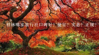 桂林哪家旅行社口碑好？便宜？实惠？正规？我还需要一切经典的桂林阳朔旅游攻略最新版。