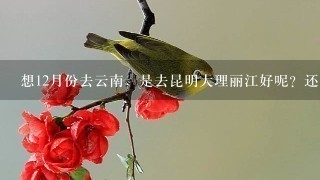 想12月份去云南，是去昆明大理丽江好呢？还是去瑞丽