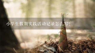 小学生假期实践活动记录怎么写？