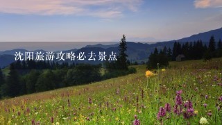 沈阳旅游攻略必去景点