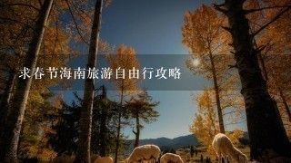 求春节海南旅游自由行攻略