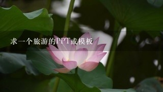 求一个旅游的PPT或模板