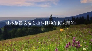 桂林旅游攻略之桂林机场如何去阳朔