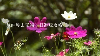 从蚌埠去无锡一日游玩攻略