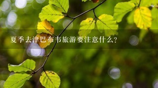 夏季去津巴布韦旅游要注意什么？