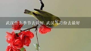 武汉什么季节去最好 武汉几月份去最好