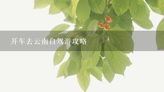 开车去云南自驾游攻略