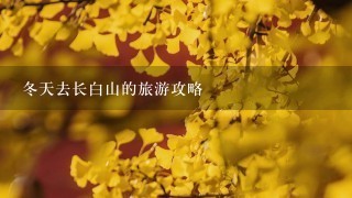 冬天去长白山的旅游攻略