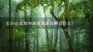 长白山北坡和西坡旅游攻略是什么？