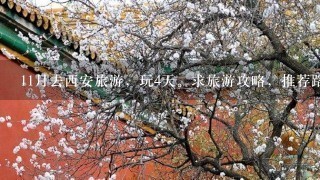 11月去西安旅游，玩4天。求旅游攻略，推荐路线、美食（很重要）。兵马俑、华清池、城墙等都想去~